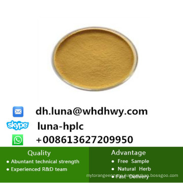 Rhubarb Root Extract Fintess /Rhein /Chrysophanol /Physcion /Emodin